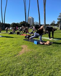 Group outdoor yoga class on a sunny park lawn, students on mats holding twisted low-lunge poses among tall palm trees with a high-rise building in the background.
