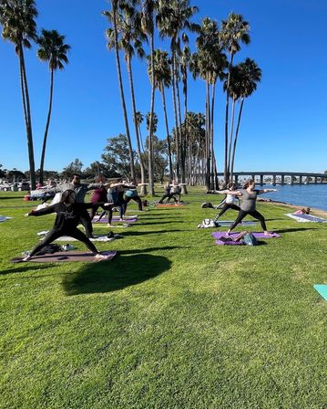 Group outdoor yoga class on mats at a sunny waterfront park, participants in warrior poses beside tall palm trees and a bay bridge under a clear blue sky.