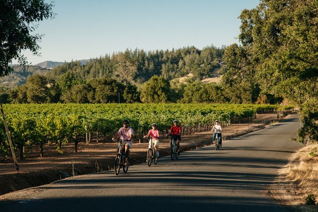 Private Electric Bike Wine Tasting Tour image 4