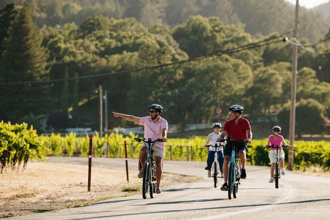 Four cyclists in helmets riding on a sunny country road past vineyard rows and forested hills, one rider pointing ahead.