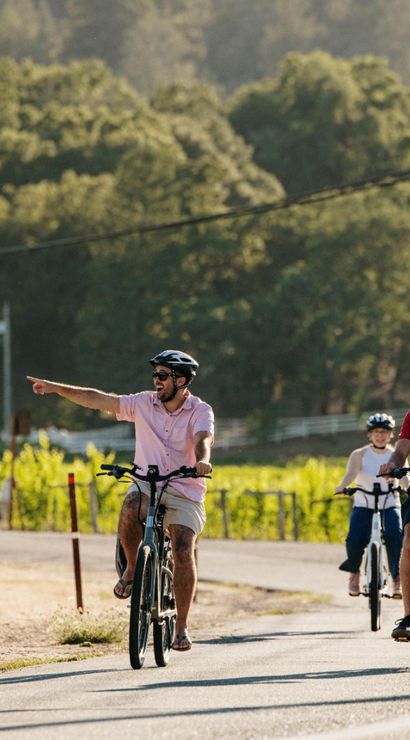 Four cyclists in helmets riding on a sunny country road past vineyard rows and forested hills, one rider pointing ahead.