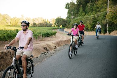 Four adults in helmets enjoying a scenic vineyard bike ride on a paved country road lined with green vines and trees on a sunny day.