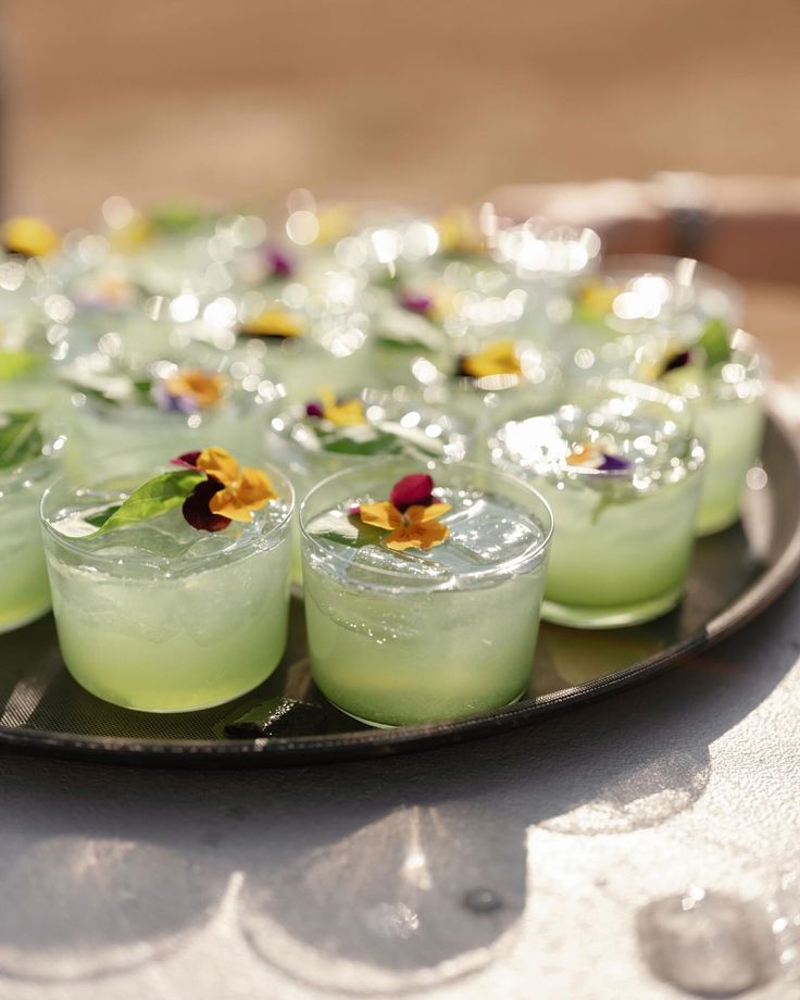 The Untamed Cocktail Hour: Botanical Barcraft, Plant Wisdom, and a Hell of a Good Time — delivered to your door image 1