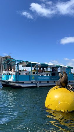 Sea lion lounging on a bright yellow buoy in a sunny coastal harbor, with a teal open-air tour pontoon and passengers under a blue sky.