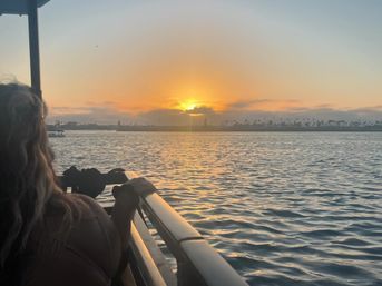 Passenger leaning on a boat railing watching a golden sunset over rippling bay waters with a palm-lined shoreline silhouette.