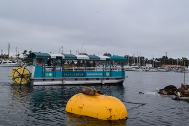 Sea lion resting on a large yellow buoy in a cloudy marina as a teal pedal-powered tour boat passes, with yachts and more sea lions on a nearby floating dock.