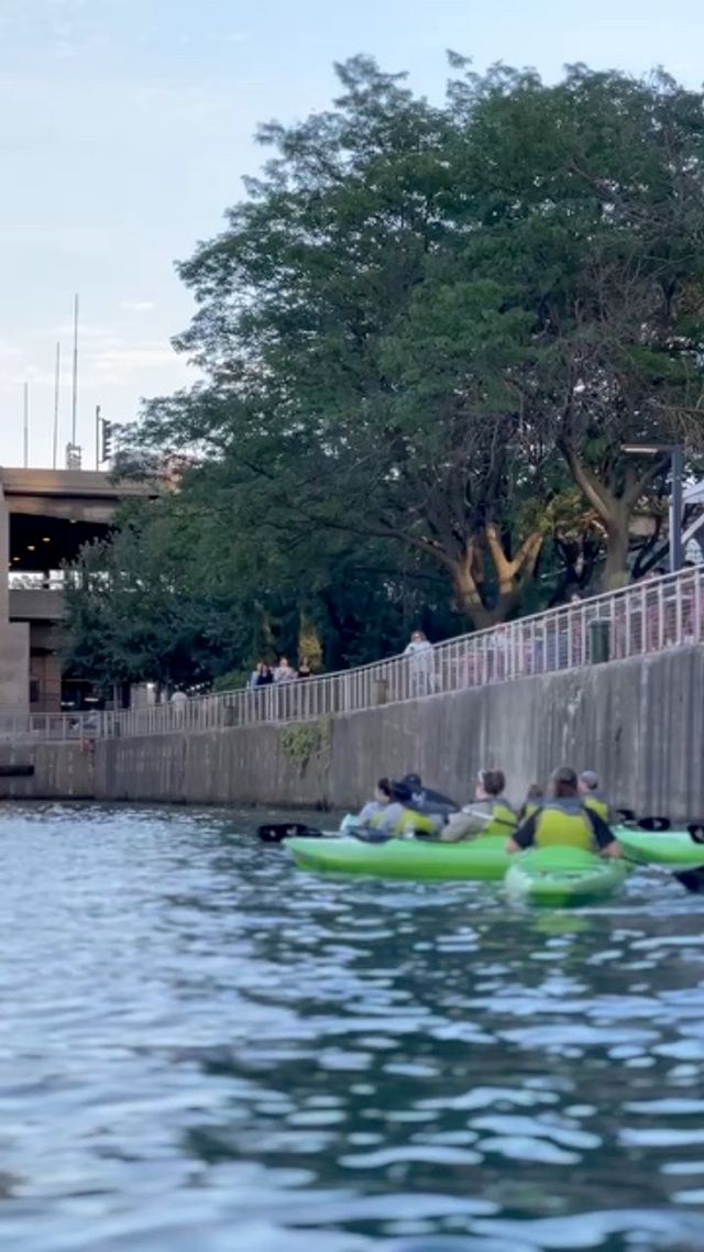 Urban Kayaks: 2hr Chicago Historic Tour image 3