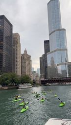 Group of bright green kayaks paddling along the Chicago River with downtown glass skyscrapers, river bridges and an overcast sky
