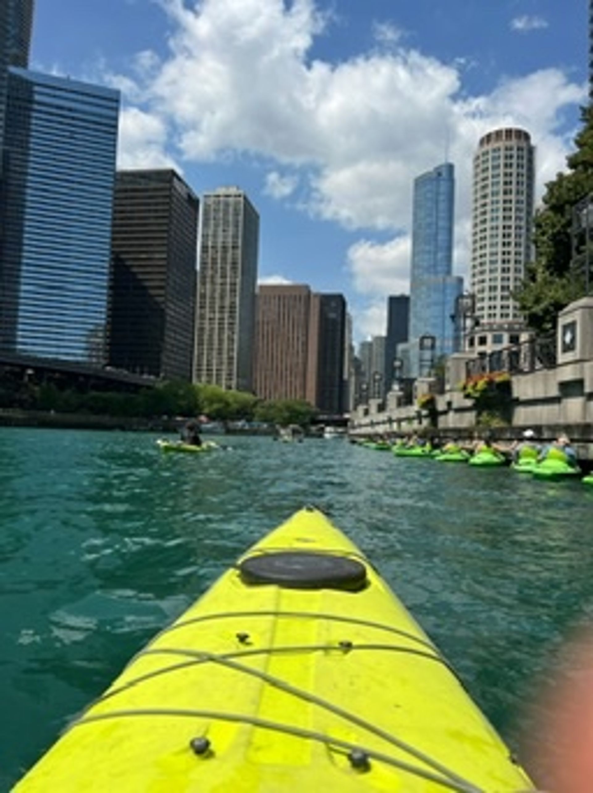 Urban Kayaks: 2hr Chicago Historic Tour image 2