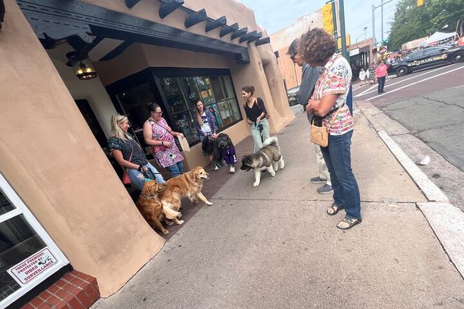 People chatting with leashed dogs—two golden retrievers and two large fluffy breeds—outside an adobe-style storefront on a sunny downtown sidewalk.