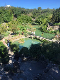Sunny botanical garden with turquoise pond, small arched stone footbridge, terraced rock steps and lush green shrubs and trees, visitors strolling along paths under a clear blue sky