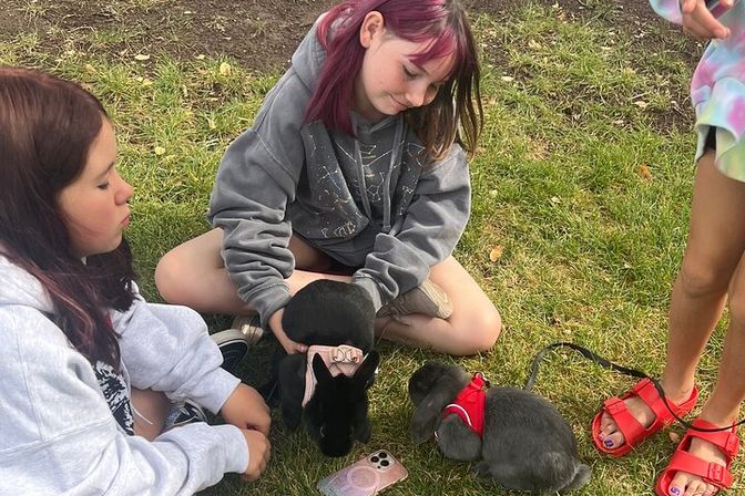 Children sitting on grass outdoors petting two pet rabbits — a black rabbit with a pink bow harness and a gray rabbit in a red harness, a phone nearby.