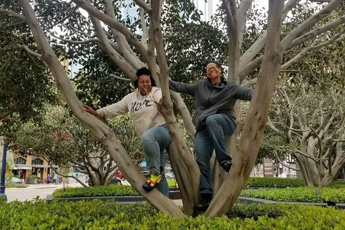 Two people perched on branches of a multi-trunk ornamental tree in a downtown plaza, smiling above trimmed hedges with city buildings in the background.