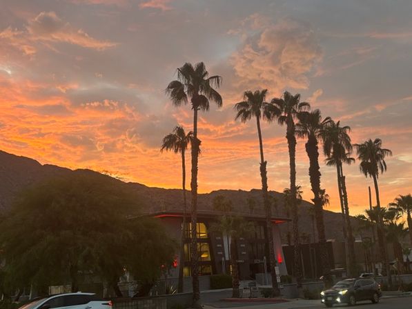 Golden-orange sunset over silhouetted mountains and tall palm trees lining a street with a modern low-rise building and a few cars at dusk.