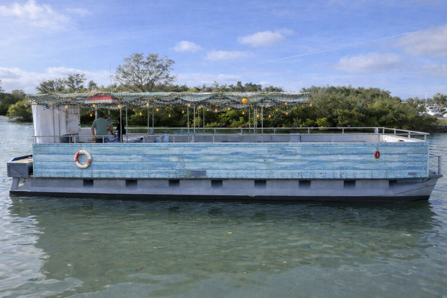 Weathered light-blue pontoon boat with canopy draped in nets and string lights, life ring on the side, floating on calm green water near a mangrove-lined shoreline under a sunny blue sky.