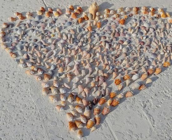 Sunlit heart-shaped arrangement of assorted pink, peach and tan seashells neatly laid out on white sandy beach