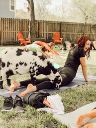 Outdoor backyard goat yoga class on a grassy lawn — woman laughing on a yoga mat as a black-and-white goat nuzzles her legs, others stretching nearby with a wooden fence and red chairs in the background.