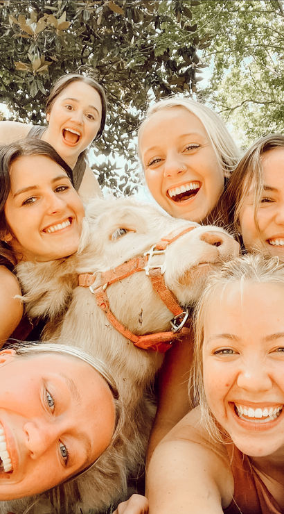 Joyful outdoor selfie of six friends smiling and cuddling a fluffy white goat wearing a red halter beneath leafy trees