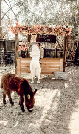 Playful rustic kissing booth outdoors decorated with pink roses and a chalkboard sign; a person at a wooden counter is kissed by a tall fluffy white dog while a brown donkey grazes in the sunlit farmyard.