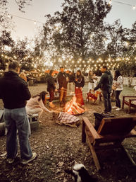 Backyard bonfire at dusk under string lights — a group of friends roasting marshmallows around a fire pit with dogs and cozy seating.