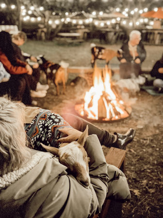 Cozy evening farm bonfire with string lights overhead, people seated on benches around a glowing campfire, and someone cradling a sleepy baby goat in their lap—warm sweaters and rustic outdoor vibes.