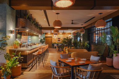 Cozy modern boho restaurant interior with rattan pendant lights, a long bar with leather stools, wooden dining tables, wicker lounge seating, abundant potted plants, and warm ambient lighting.