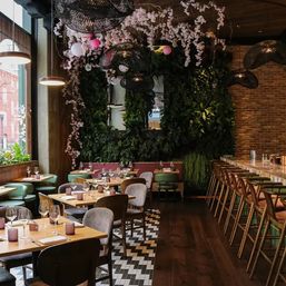 Cozy modern urban restaurant interior with wooden tables set with wine glasses, padded chairs and a long bar with high stools, a lush living green wall, hanging black pendant lights and pink blossom decorations, patterned tile and dark wood floors, and large windows letting in natural light.