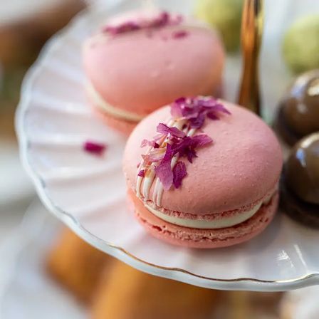 Pink rose macarons with white cream filling and dried rose petals on a white scalloped dessert plate — French-style bakery dessert