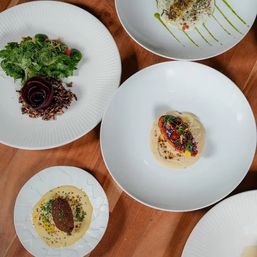 Overhead shot of gourmet plated dishes on white plates on a wooden table — colorful garnishes, microgreens, a beet-rose salad and creamy sauces in a fine-dining setting