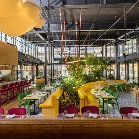 Sunlit industrial-chic restaurant interior with high glass walls, yellow curved banquette, green chairs, magenta bar stools, a central planter of tropical plants and modern pendant lighting.