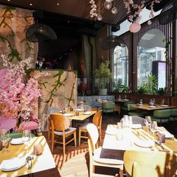 Sunlit modern restaurant dining room with wooden tables and mixed chairs, green banquette seating, pink cherry blossom display, hanging pendant lights, potted plants and large arched windows overlooking the city street.