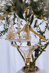 White sheer lace lingerie set with gold floral embroidery (triangle bralette and matching thong) hanging on wooden hangers from an indoor potted olive tree against a soft white backdrop