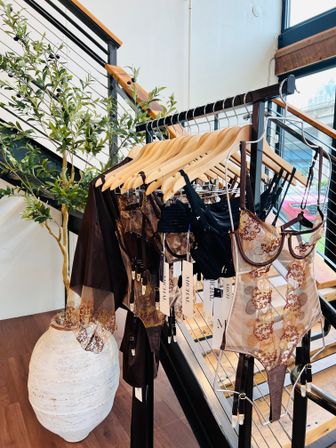 Chic lingerie display on wooden hangers in a bright urban boutique by a metal staircase and large windows, decorative potted plant and embroidered lace bodysuits on view