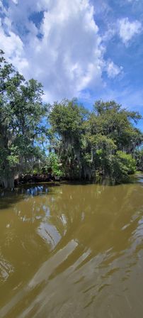Sunlit southern bayou with Spanish moss-draped trees reflecting in muddy brown water under a bright blue sky and fluffy clouds