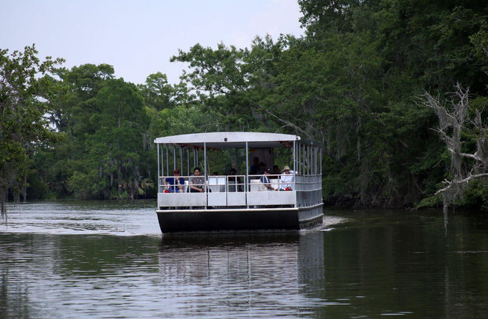 Pontoon Boat Experience: Peaceful Group Ride Through the Louisiana Bayou image 3