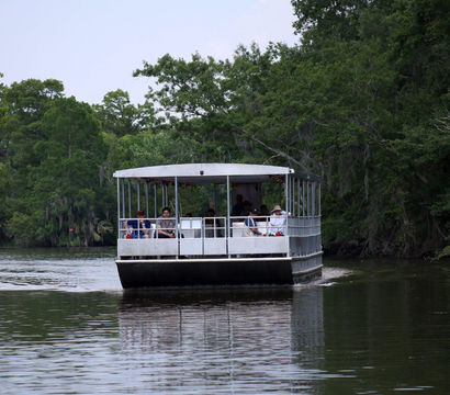 Airboat Adventures