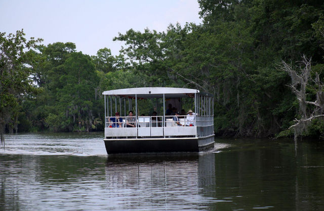 Pontoon Boat Experience: Peaceful Group Ride Through the Louisiana Bayou image 3