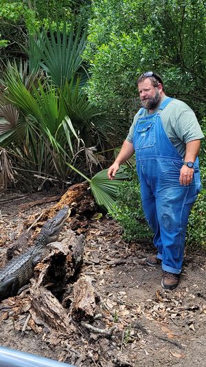 Man in blue overalls standing beside an alligator resting on a fallen log in a lush palmetto-lined swamp, metal railing in the foreground