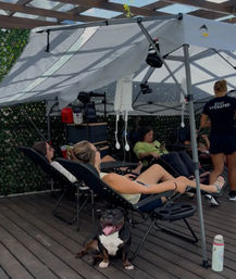 Outdoor wellness lounge on a wooden patio with people reclining in lounge chairs under a pop-up canopy and IV drip bags hanging above, a happy panting pitbull sitting in the foreground.