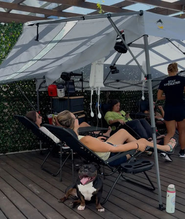 Outdoor wellness lounge on a wooden patio with people reclining in lounge chairs under a pop-up canopy and IV drip bags hanging above, a happy panting pitbull sitting in the foreground.