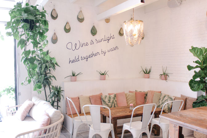 Bright sunlit cozy cafe interior with white brick wall and script quote 'Wine is sunlight held together by water', wooden table, metal chairs, banquette seating with pastel cushions, hanging chandelier and abundant indoor plants.