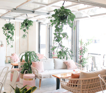 Sunlit modern cafe interior with open garage-style doors, rattan sofas, pastel pink cushions, wooden tables and cascading hanging plants creating a cozy, airy vibe.