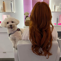 Smiling small white dog perched on a salon chair beside a woman with long red wavy hair, salon mirror and hair products in the background