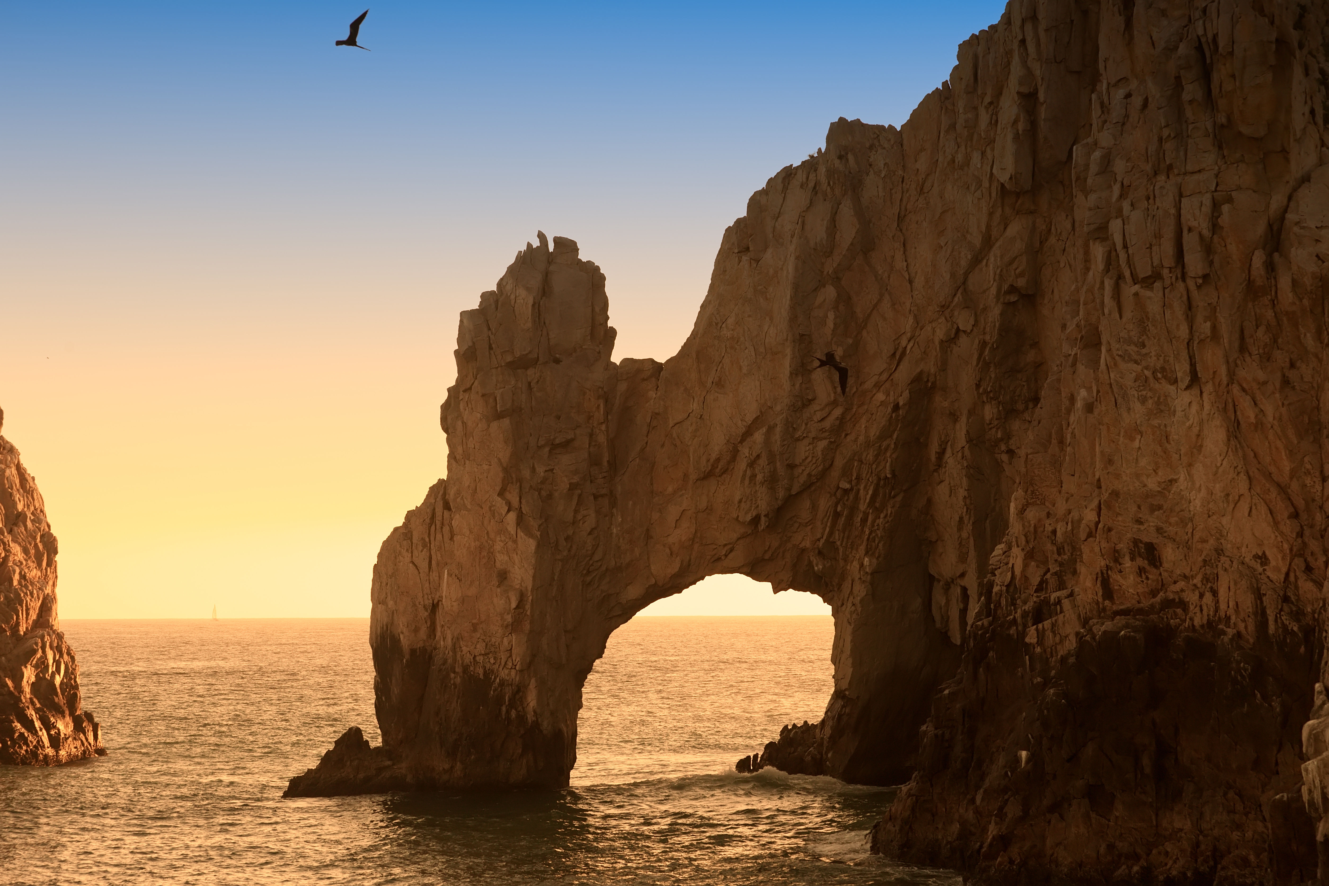 Golden sunset over a coastal rock arch, waves flowing through a natural stone gateway and a seabird soaring above the ocean.