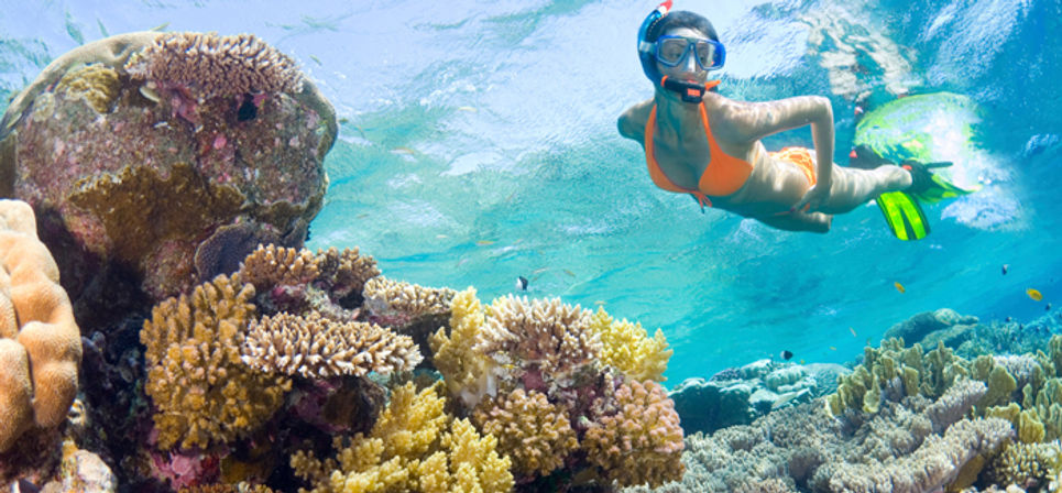 Snorkeler in an orange swimsuit and green fins gliding over a vibrant tropical coral reef with colorful fish in crystal-clear blue water