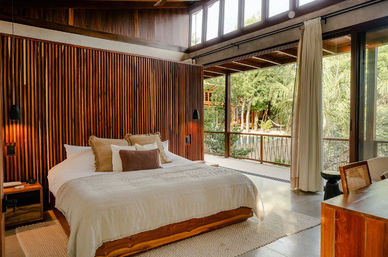 Sunlit modern wood‑paneled bedroom in a tropical retreat, king bed with neutral linens and layered pillows, bedside sconces, and large sliding glass doors opening to a balcony with lush trees and pool views.