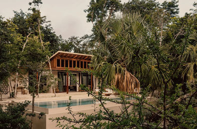 Tropical jungle villa retreat with timber roofline and glass doors, a raised rectangular private pool on a sandy terrace, surrounded by palms and dense green foliage
