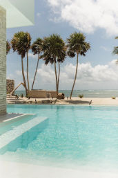 Tropical oceanfront pool with turquoise water, sandy beach and tall swaying palm trees under a sunny blue sky
