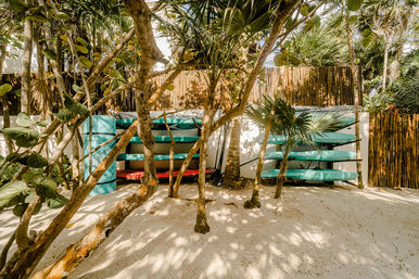 Turquoise and red paddleboards stacked on wooden racks behind palm trees on a white sandy tropical beach, dappled sunlight and bamboo fence in the background.