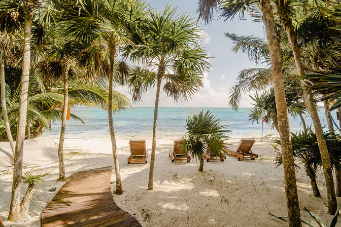 White-sand tropical beach framed by palm trees, a curved wooden boardwalk leading to wooden lounge chairs facing calm turquoise sea under a sunny sky.